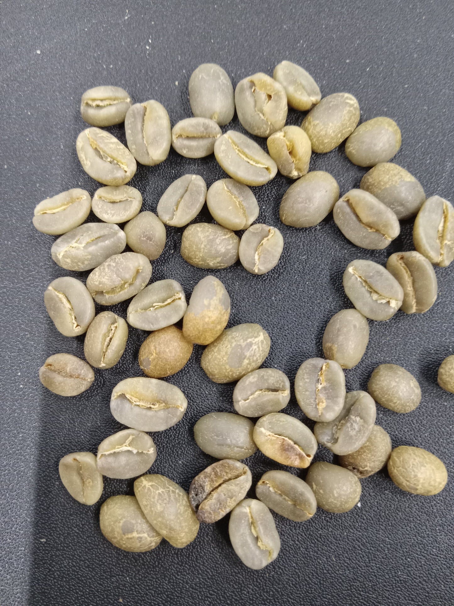Gesha: The Pinnacle of Coffee Excellence