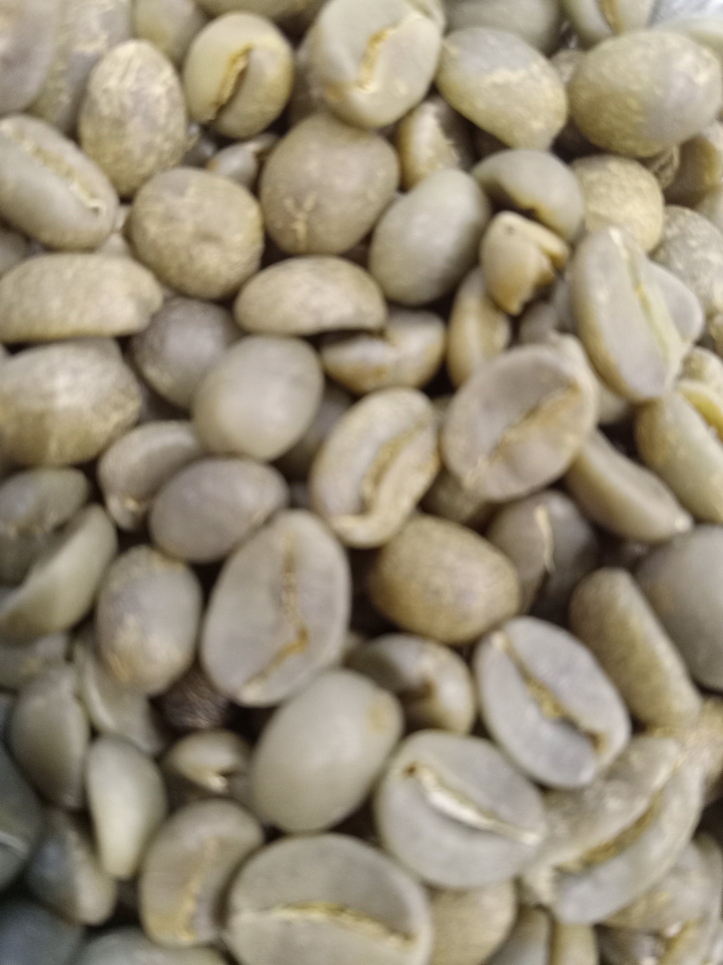 Gesha: The Pinnacle of Coffee Excellence